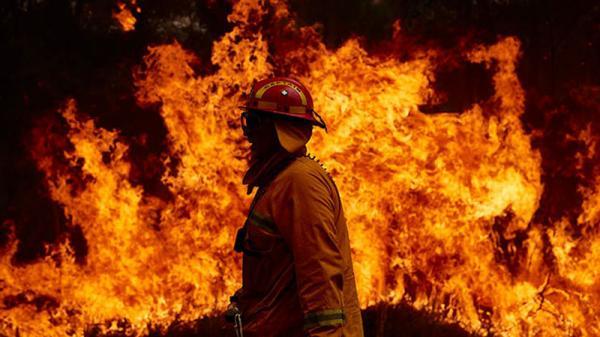 برای ضد حریق کردن ساختمان از چه پوشش ضد حریقی استفاده کنیم؟