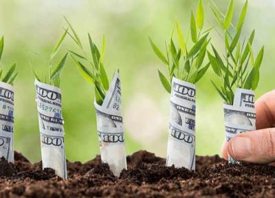 دکوراسیون به سبک فنگ شویی ثروت