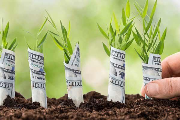 دکوراسیون به سبک فنگ شویی ثروت