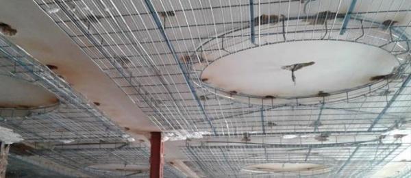 آشنایی با کاربرد رابیتس در صنایع ساختمانی